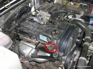 krasy-007.jpg