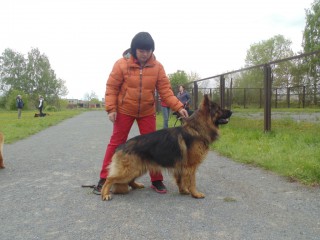 DSC00902.JPG
