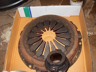 DSCN7517.JPG