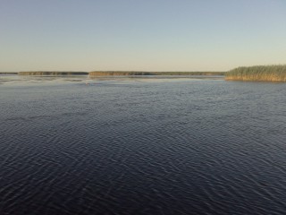 DSC_33751.jpg