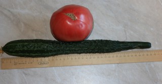 9g4382003.jpg