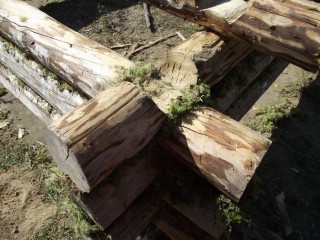 DSCF2308.jpg