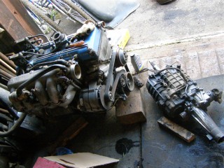 P2260009 (Large).JPG