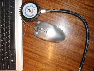 SDC11524.JPG