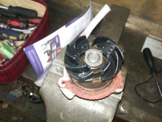 05.jpg