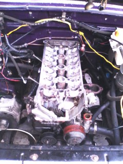 IMG_20120304_171205.jpg