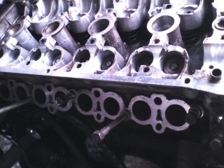IMG_20120304_171223.jpg