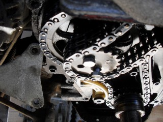 SDC11741.JPG