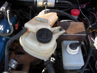 SDC11782.JPG