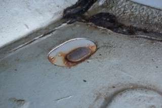 DSC00332.jpg