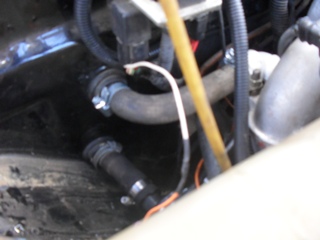 SDC12590.JPG