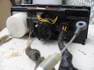 SDC12595.JPG