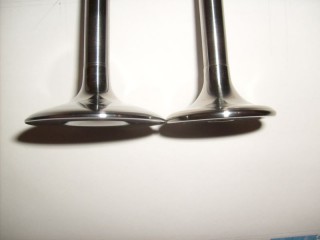 S6300135.JPG