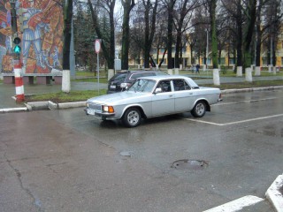 Gray 3102.JPG