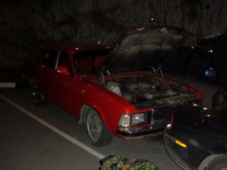 Red 3102.JPG