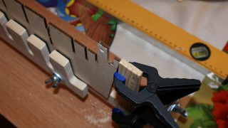 DSC00767.jpg