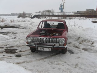 IMG_2921.jpg