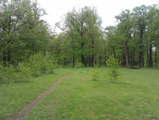 IMAG0215.jpg