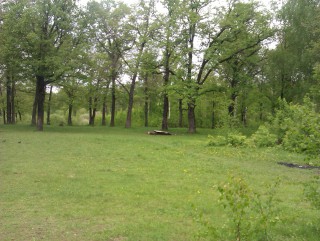IMAG0216.jpg