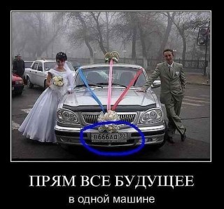 getImage (3).jpg