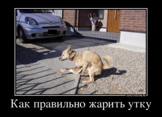 IMG_0290.JPG
